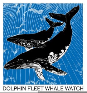 dolphinFleet