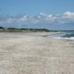 sandy-neck-beach