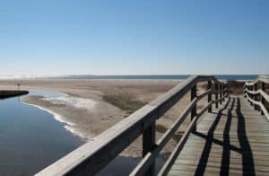 Ridgevale Beach: Cape Cod Beaches
