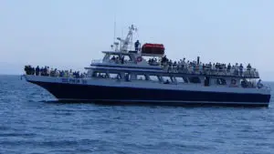Dolphin Fleet Whale Watch Boat
