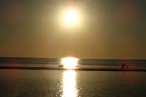 Beautiful Cape Cod Sunset with Dog